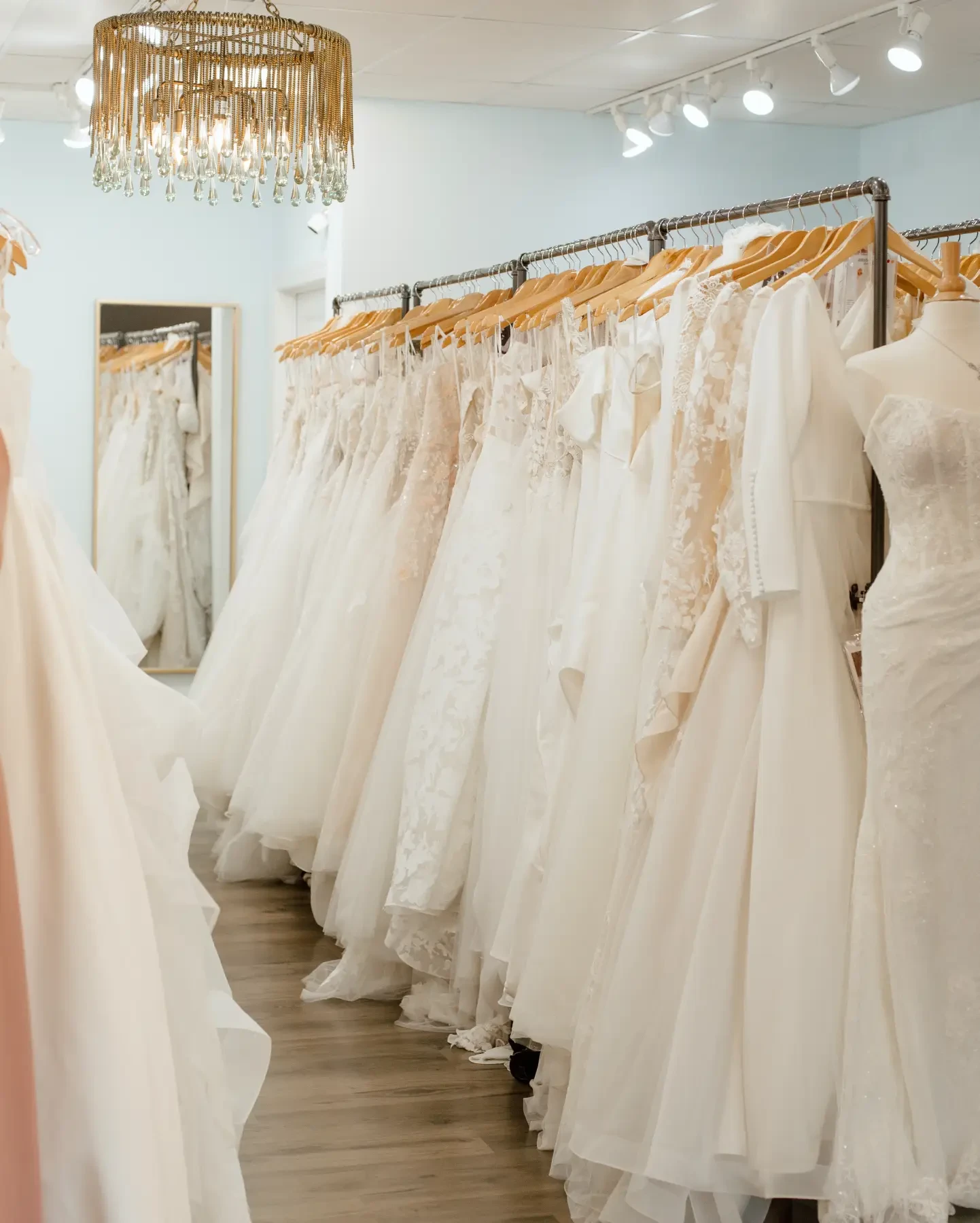 Black Friday Sample Sale